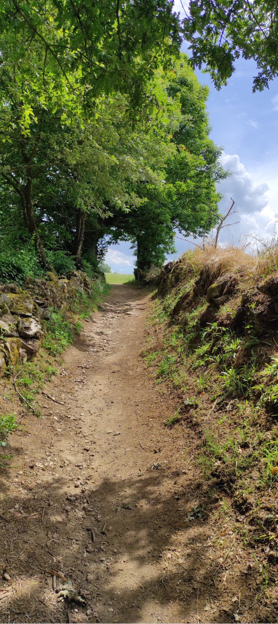 Chemin de plus en plus beau